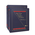 New York Limited Liability Company: Forms and Practice Manual